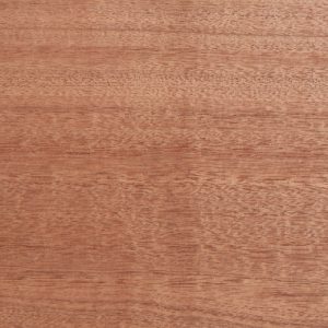 Sapele Sample